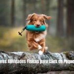 As Melhores Atividades Físicas para Cães de Pequeno Porte