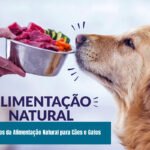 Os Benefícios da Alimentação Natural para Cães e Gatos