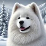 Raça de Cachorro Samoyed